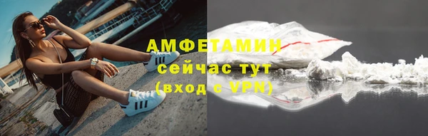 твердый Бородино