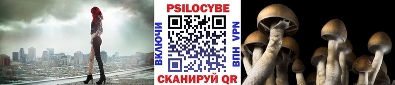 Псилоцибиновые грибы GOLDEN TEACHER  мориарти какой сайт  Кизляр 